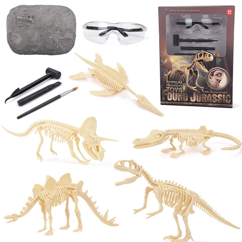 Science Toy - Kit Penggalian Fosil Dinosaurus STEM Menggali